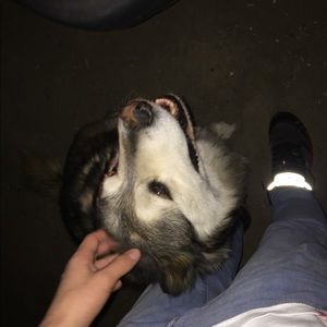 Meet your Posher, Elijah